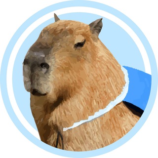 Capybara Chat